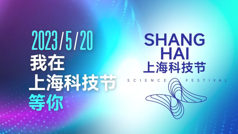 知识图谱关系抽取：参数配置的奥秘与技巧